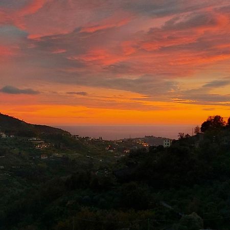 Il Nido Del Viaggiatore Vallebona Εξωτερικό φωτογραφία