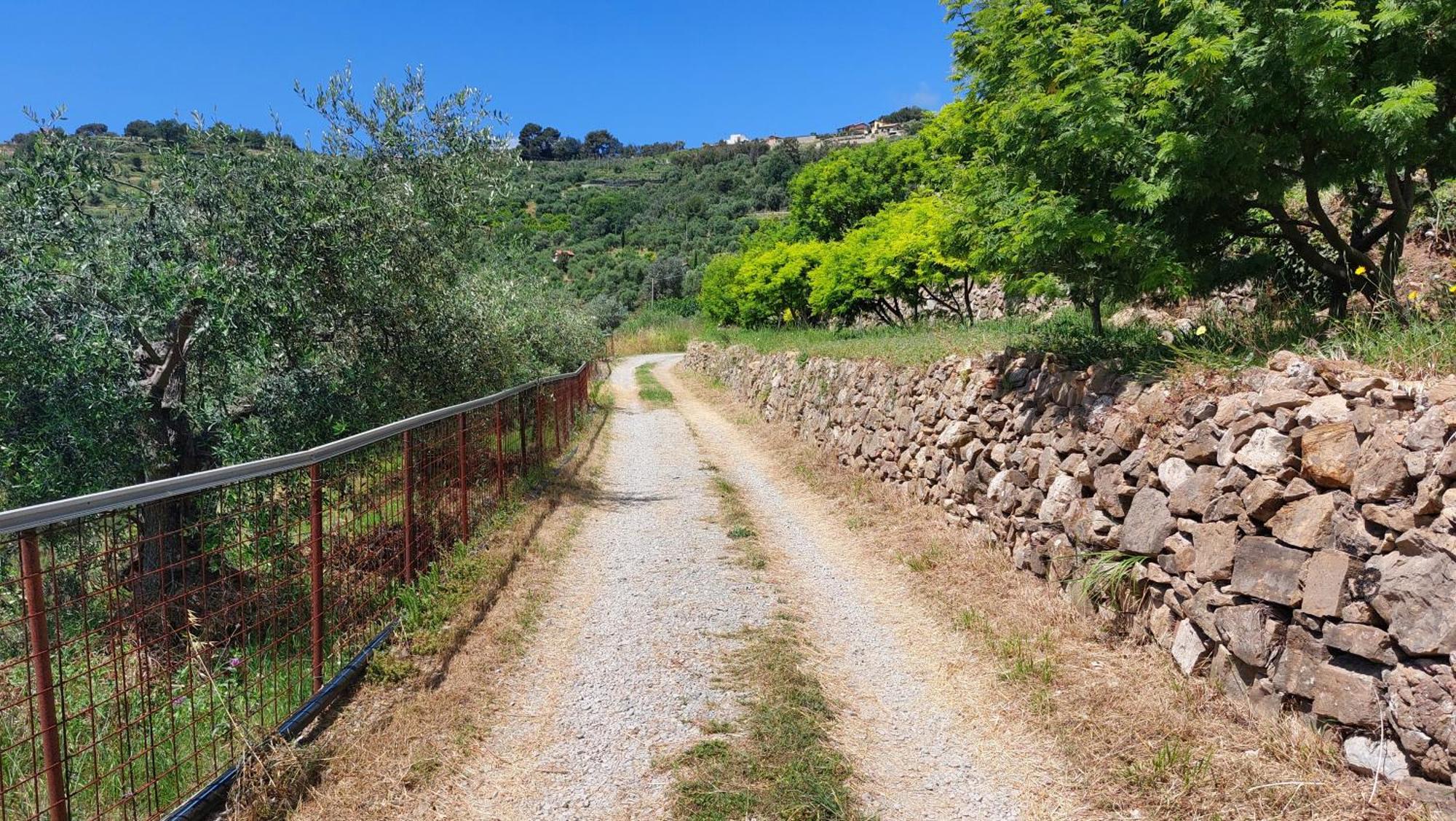 Il Nido Del Viaggiatore Vallebona Εξωτερικό φωτογραφία