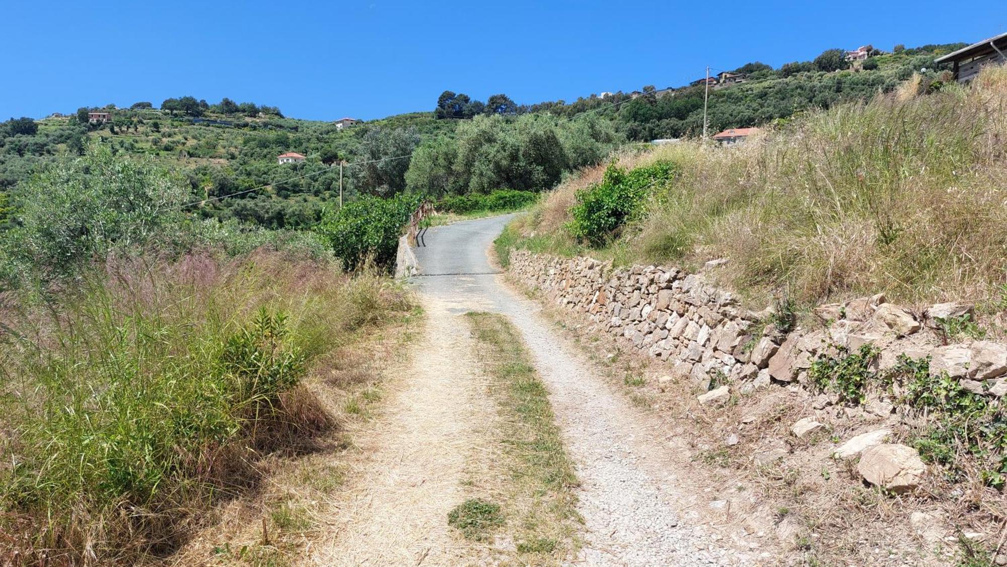 Il Nido Del Viaggiatore Vallebona Εξωτερικό φωτογραφία