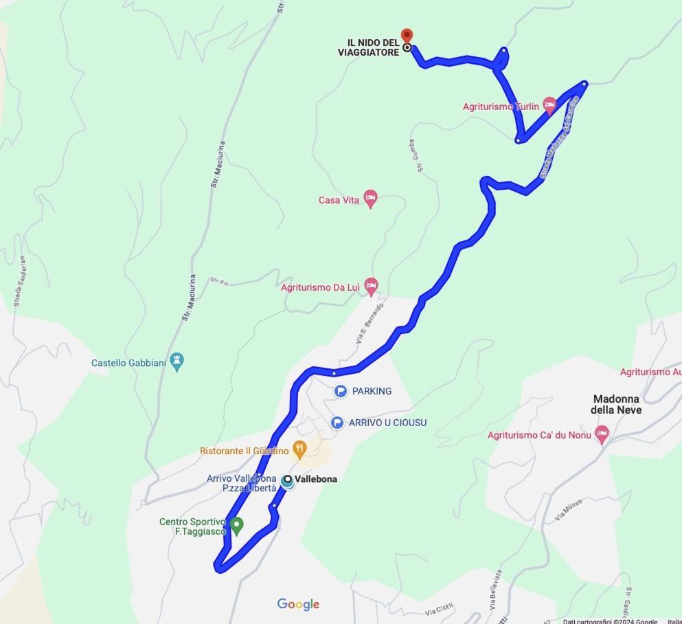 Il Nido Del Viaggiatore Vallebona Εξωτερικό φωτογραφία