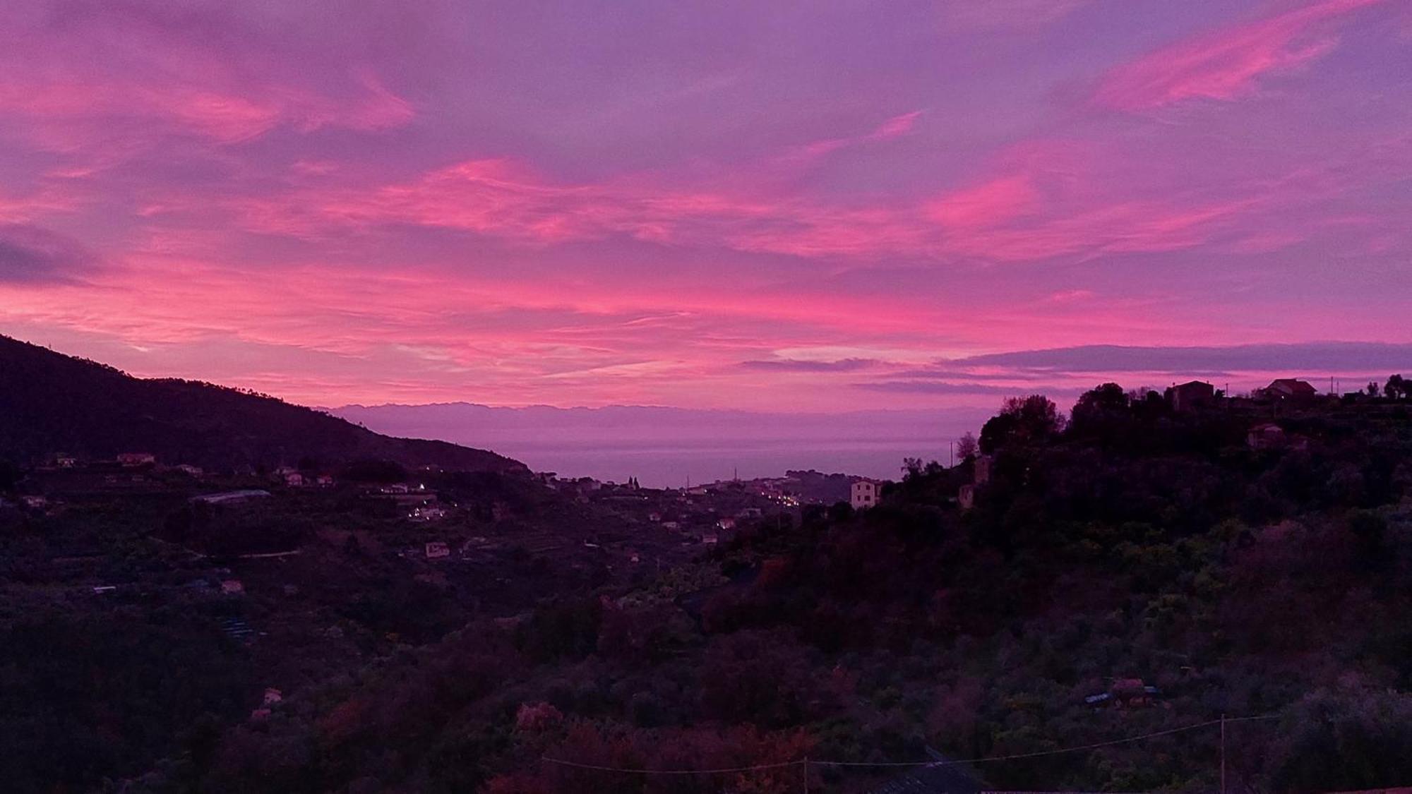 Il Nido Del Viaggiatore Vallebona Εξωτερικό φωτογραφία