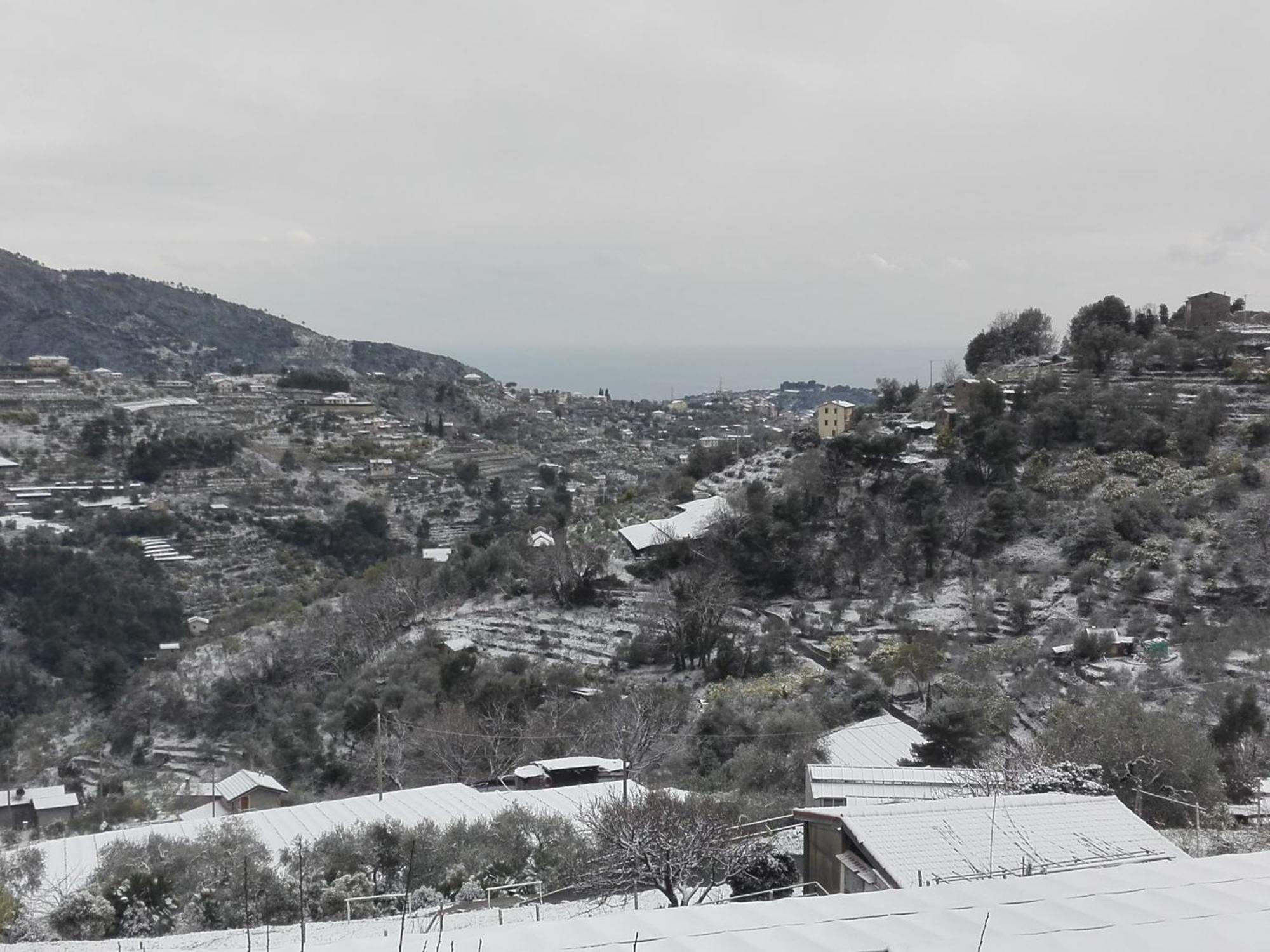 Il Nido Del Viaggiatore Vallebona Εξωτερικό φωτογραφία